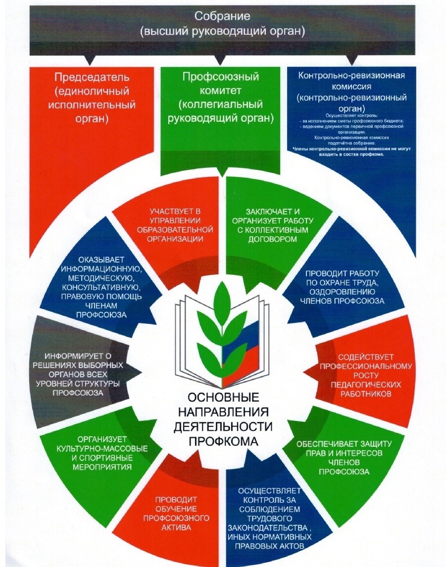 Структура профсоюзной организации